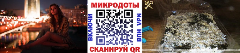 Купить закладки  Усть-Кут  Галлюциногенные грибы Psilocybe 
